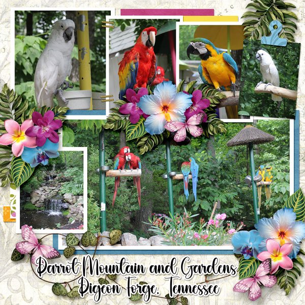 Tropical Love Land