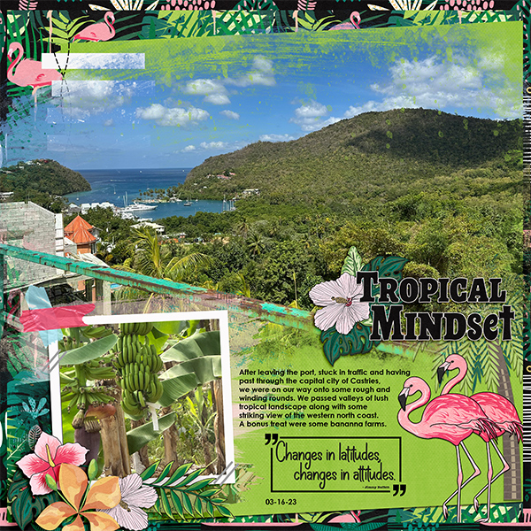 Tropical Mindset- St. Lucia