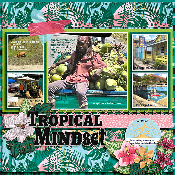 Tropical Mindset-St. Lucia