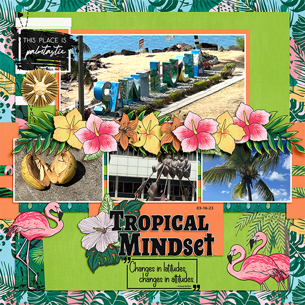 Tropical Mindset- St. Lucia