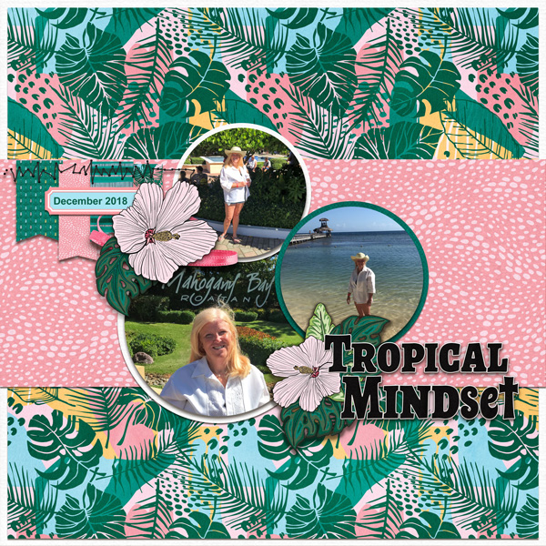 Tropical Mindset