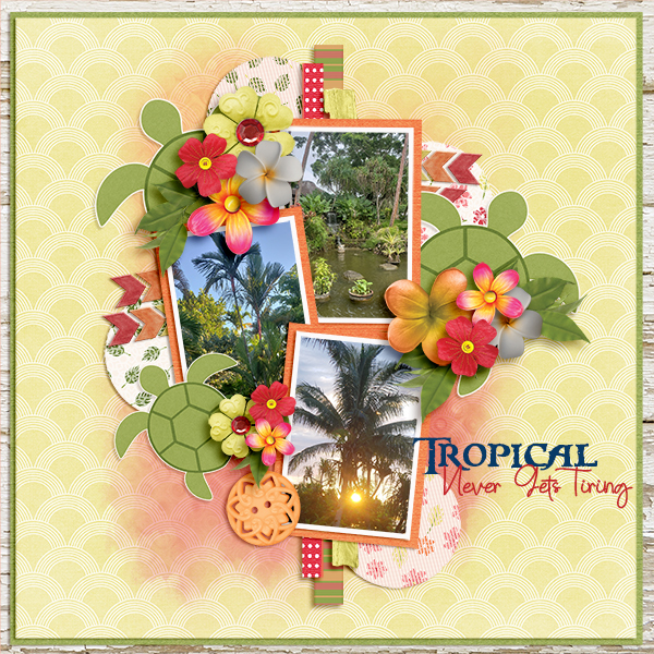 Tropical Never Gets Tiring