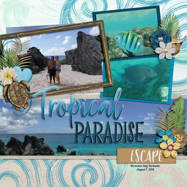 Tropical Paradise Escape