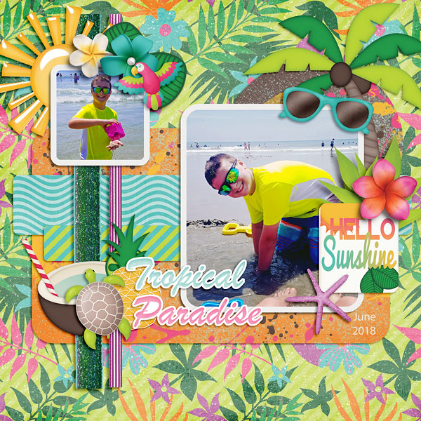 Tropical Paradise