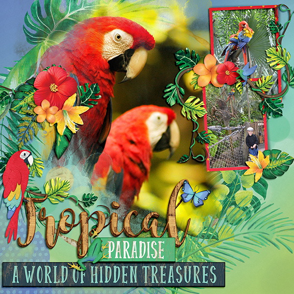 Tropical Paradise