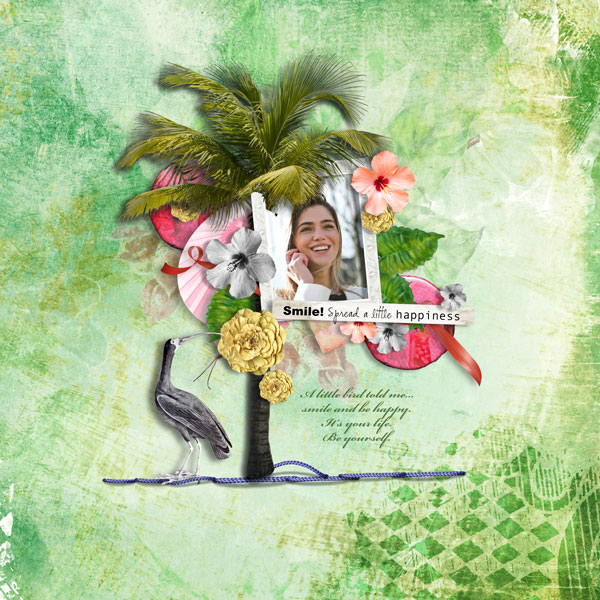 Tropical Paradise