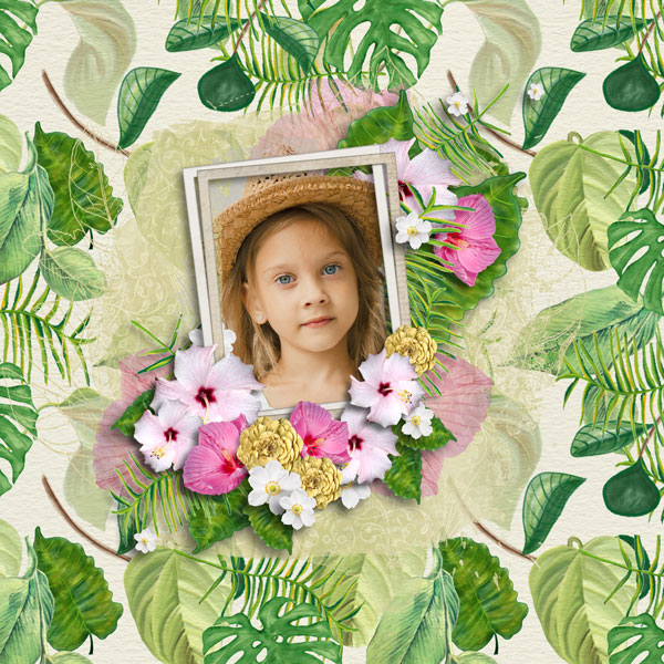 Tropical Paradise