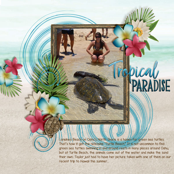 Tropical-Paradise1