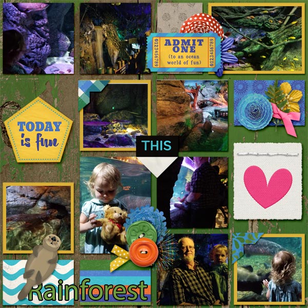 Tropical Rainforest 9/13