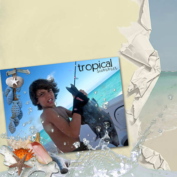 Tropical Summer