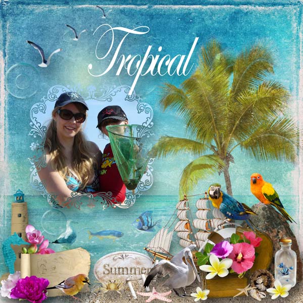 Tropical Summer