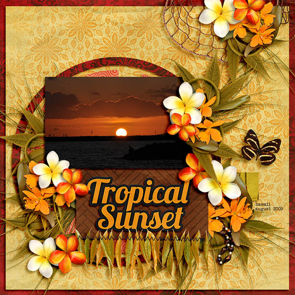 tropical sunset