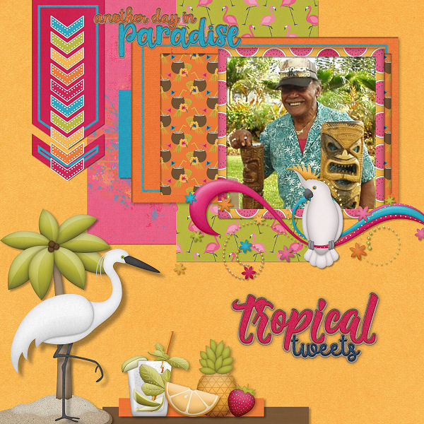 Tropical Tweets - BGD