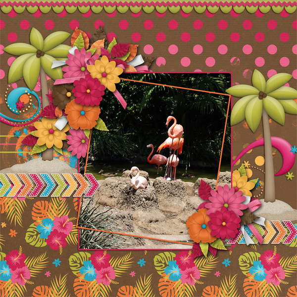 Tropical Tweets