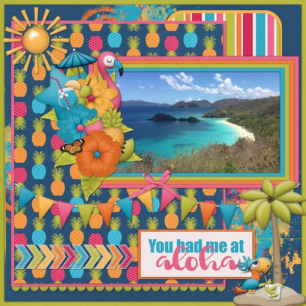 TROPICAL TWEETS