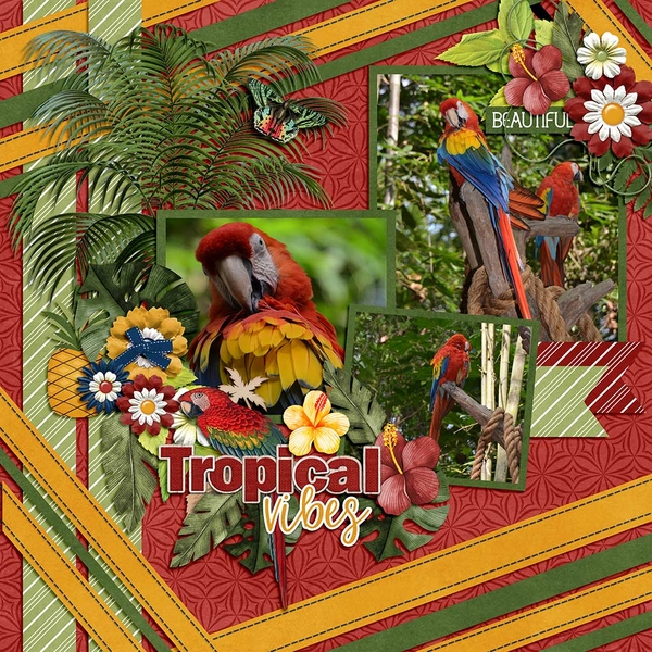 Tropical Vibes