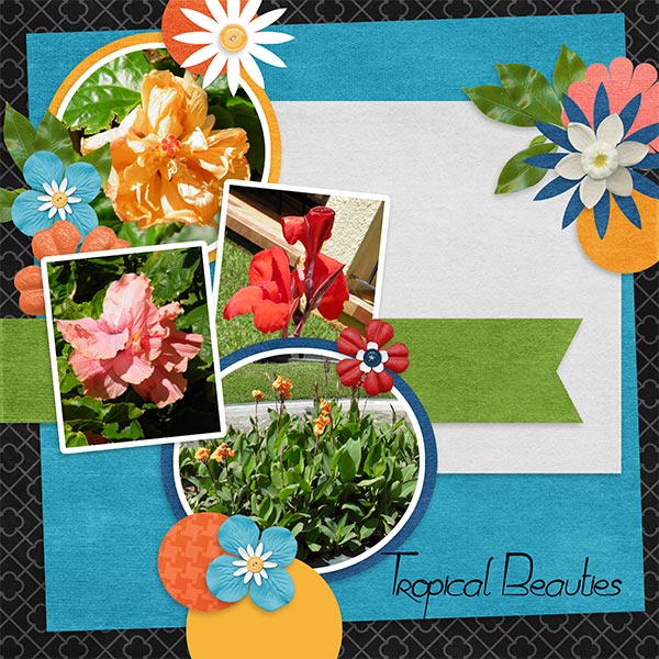Tropical_Beauties