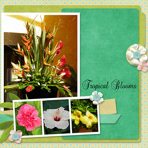Tropical_Blooms