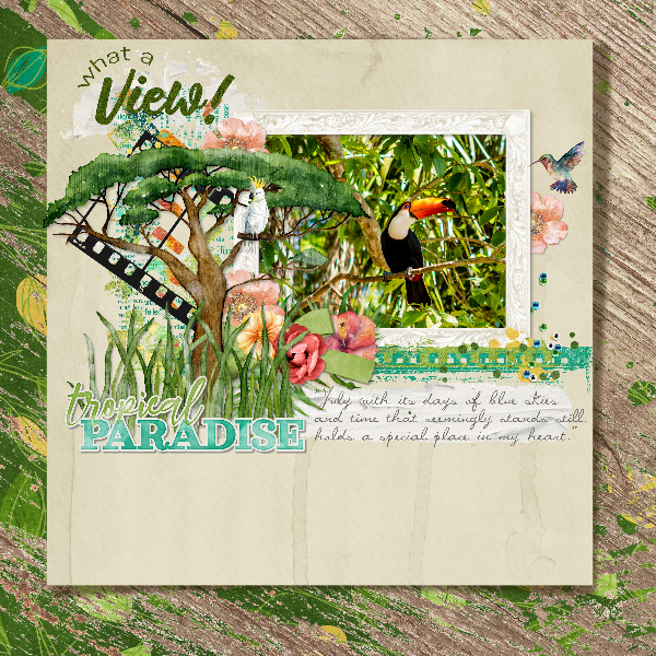 Tropical_rainforest