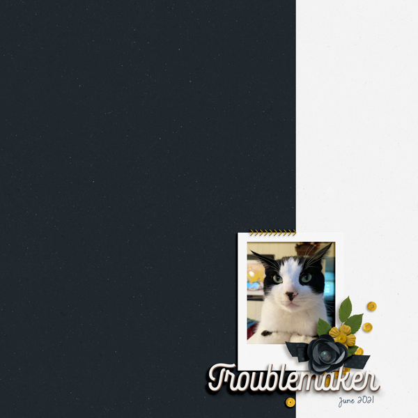 troublemaker