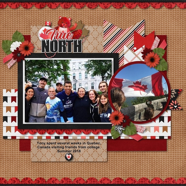 True North