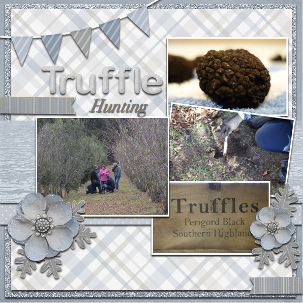 Truffle Hunting