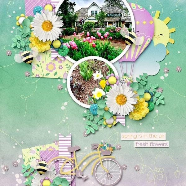 Truman Cafe