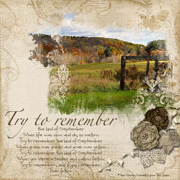 Try to Remember