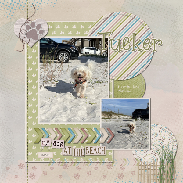 Tucker: Dauphin Island