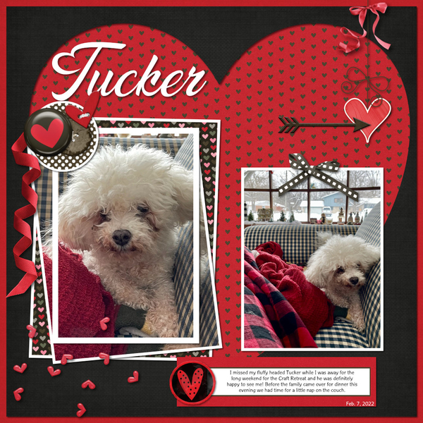 Tucker: February Font Challenge