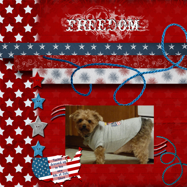 Tucker Freedom