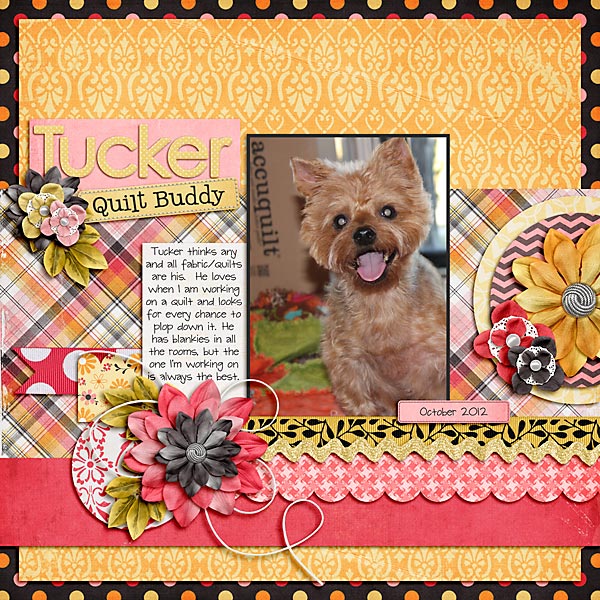 Tucker...Quilt Buddy