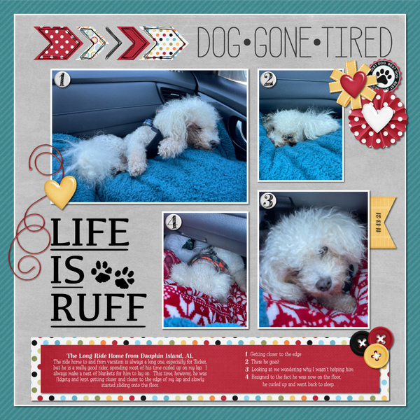 Tucker + the Long Trip Home