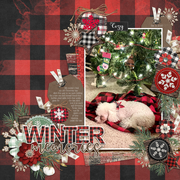 Tucker Under the Christmas Tree