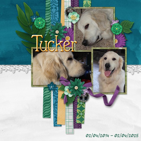 Tucker