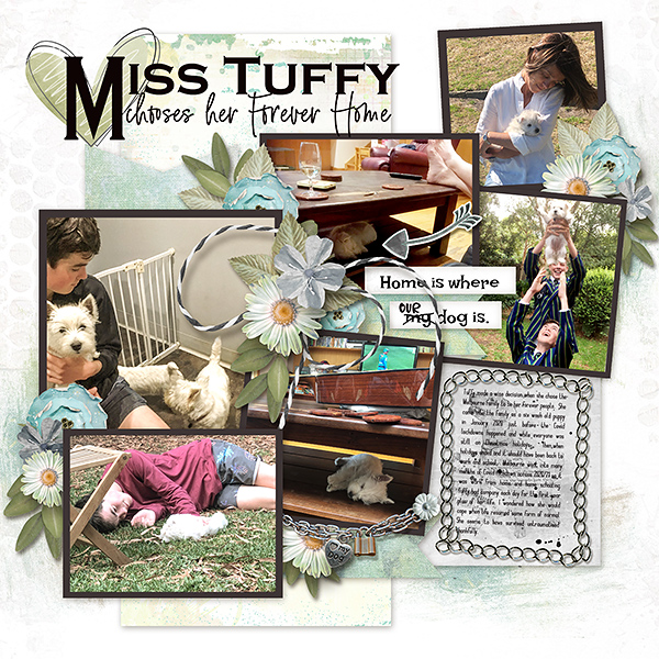 Tuffy chooses her Forever Home