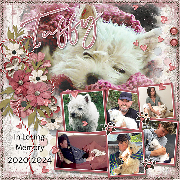 Tuffy