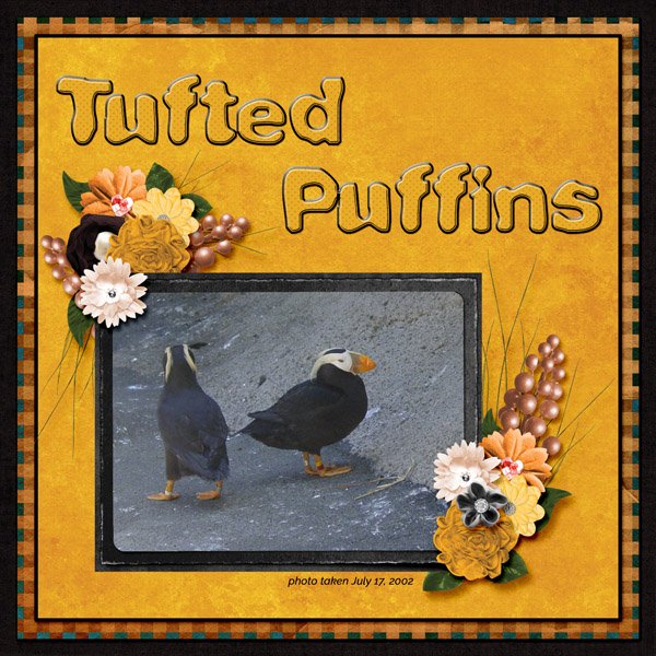 Tufted Puffins small.jpg