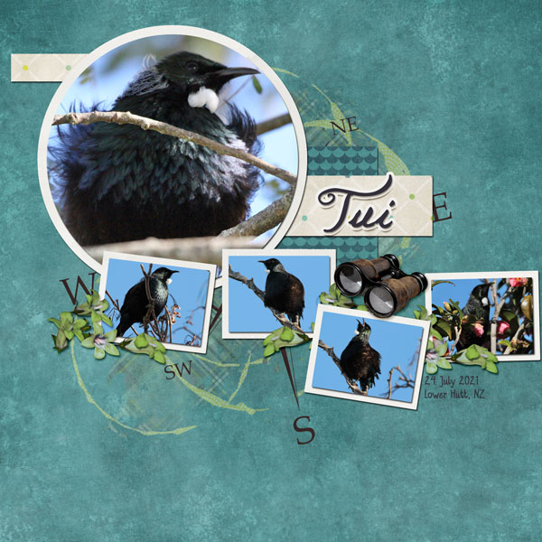 Tui