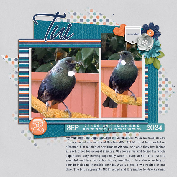 Tui