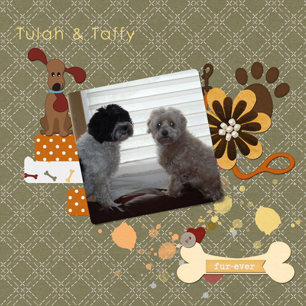 Tulah + Taffy