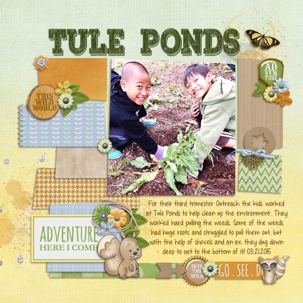 Tule Ponds