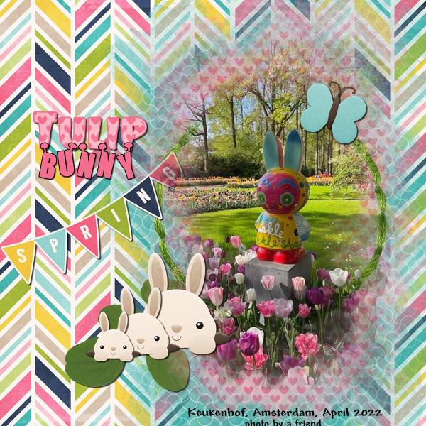Tulip Bunny