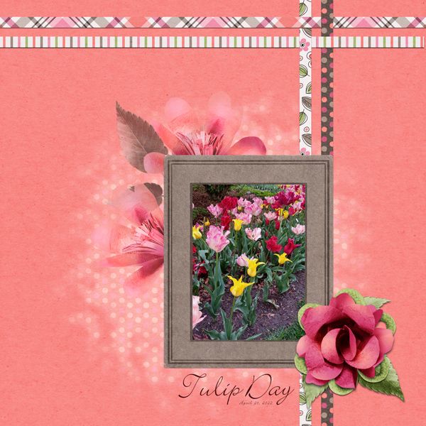 Tulip Day