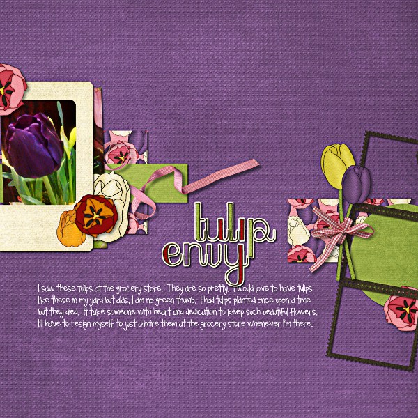 Tulip Envy