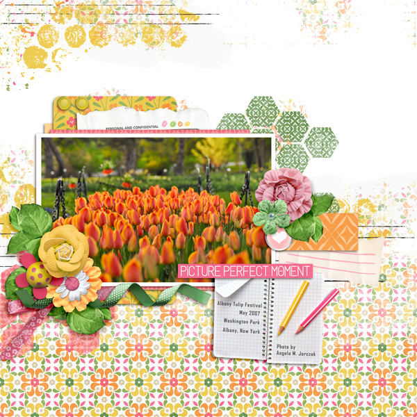 Tulip Fest