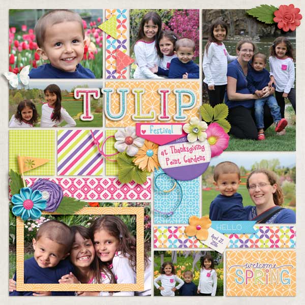 Tulip Festival 1