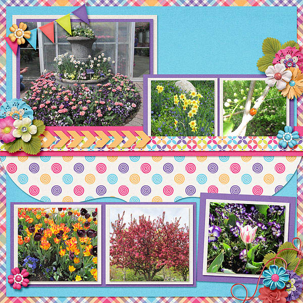 Tulip Festival