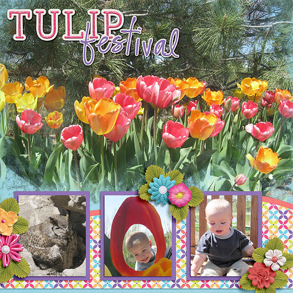 Tulip Festival
