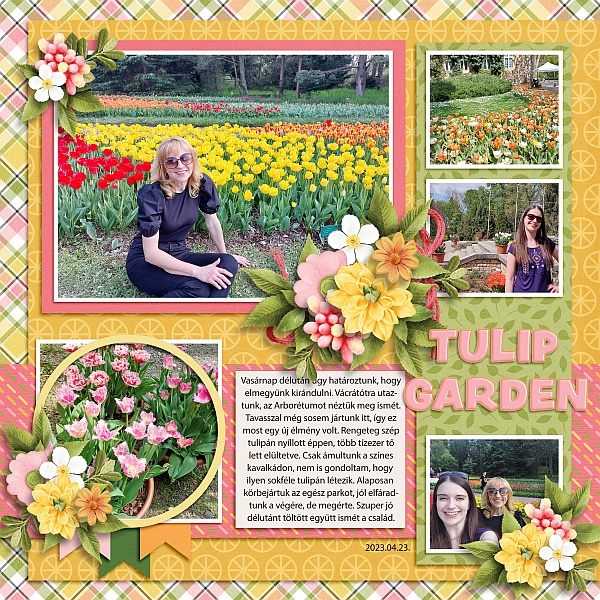 Tulip garden